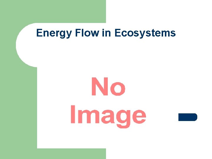 Energy Flow in Ecosystems Energy Flow in Ecosystems