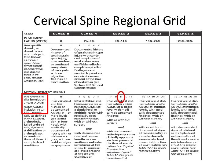 Cervical Spine Regional Grid 