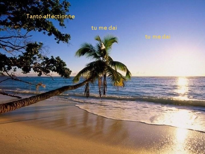 Tanto affectionne tu me dai Tanto affectionne tu me dai