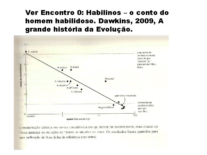 Ver Encontro 0: Habilinos – o conto do homem habilidoso. Dawkins, 2009, A grande