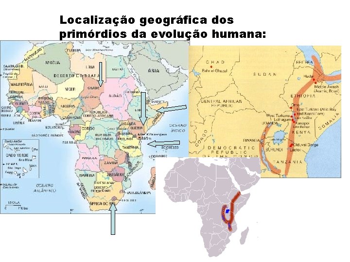 Localização geográfica dos primórdios da evolução humana: 