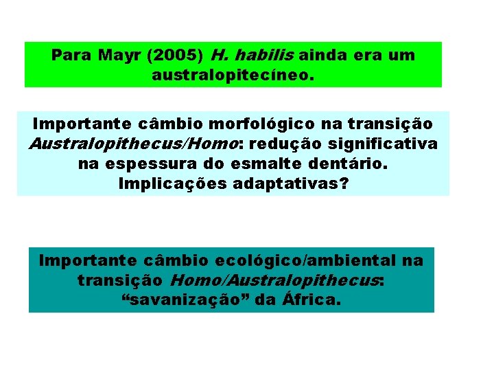 Para Mayr (2005) H. habilis ainda era um australopitecíneo. Importante câmbio morfológico na transição