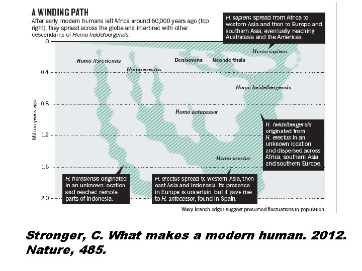 Stronger, C. What makes a modern human. 2012. Nature, 485. 