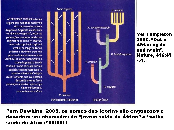 Ver Templeton 2002, “Out of Africa again and again”. Nature, 416: 45 -51. Para