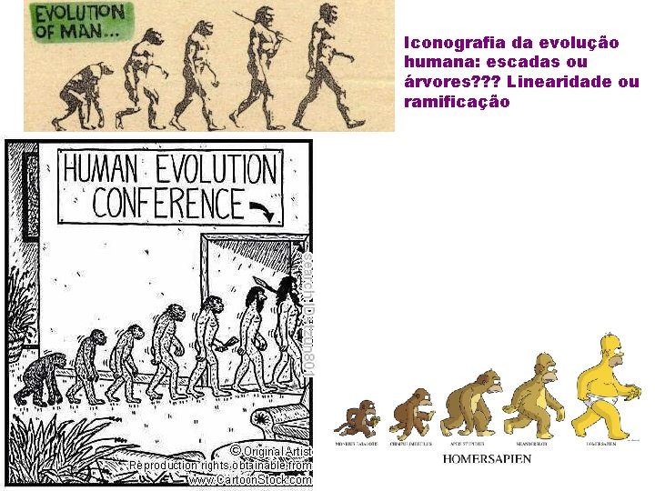 Iconografia da evolução humana: escadas ou árvores? ? ? Linearidade ou ramificação 
