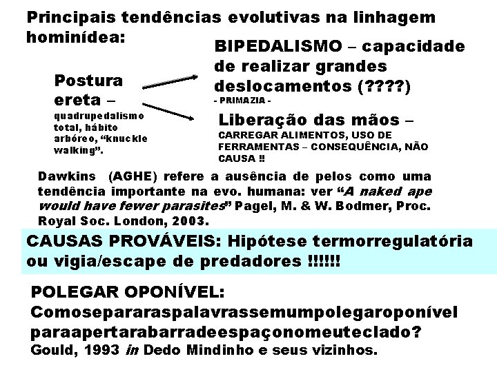 Principais tendências evolutivas na linhagem hominídea: BIPEDALISMO – capacidade de realizar grandes Postura deslocamentos