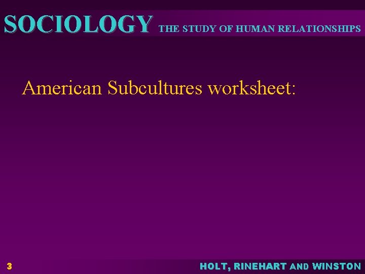 SOCIOLOGY THE STUDY OF HUMAN RELATIONSHIPS American Subcultures worksheet: 3 HOLT, RINEHART AND WINSTON