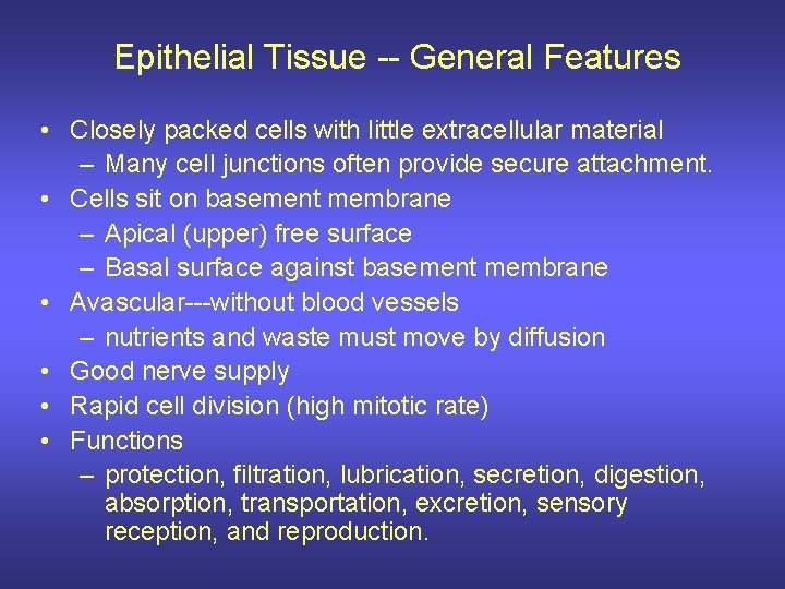 Epithelial Tissue -- General Features • Closely packed cells with little extracellular material –
