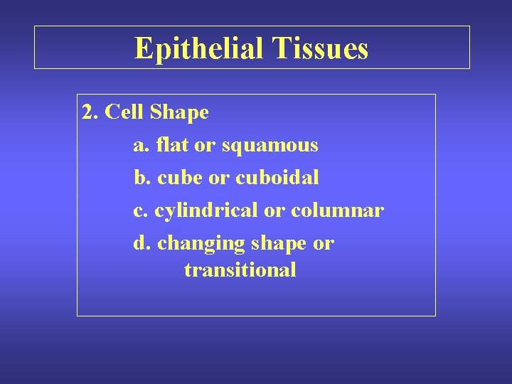Epithelial Tissues 2. Cell Shape a. flat or squamous b. cube or cuboidal c.