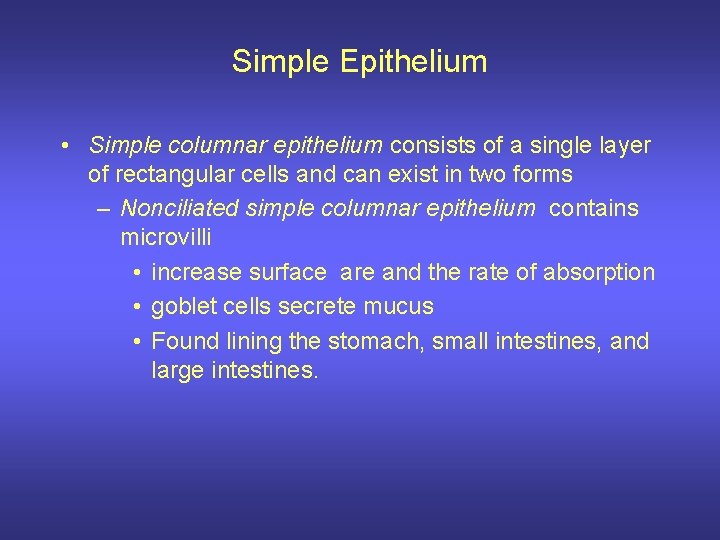 Simple Epithelium • Simple columnar epithelium consists of a single layer of rectangular cells