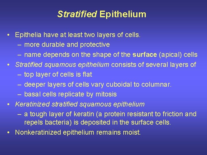 Stratified Epithelium • Epithelia have at least two layers of cells. – more durable