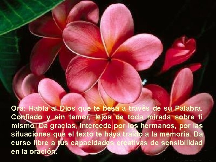 Ora: Habla al Dios que te besa a través de su Palabra. Confiado y Ora: Habla al Dios que te besa a través de su Palabra. Confiado y