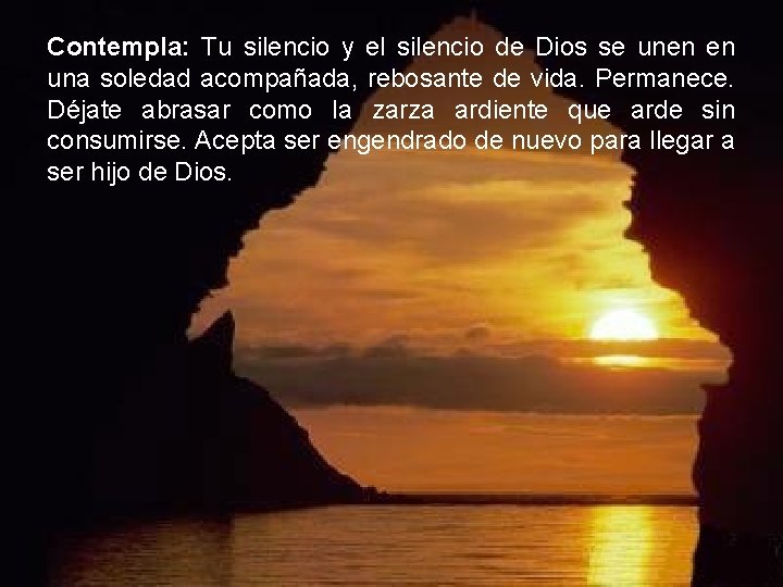 Contempla: Tu silencio y el silencio de Dios se unen en una soledad acompañada, Contempla: Tu silencio y el silencio de Dios se unen en una soledad acompañada,