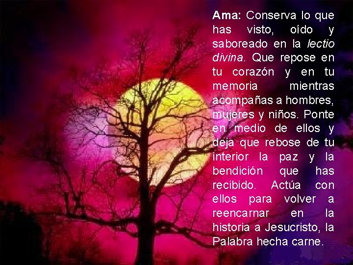 Ama: Conserva lo que has visto, oído y saboreado en la lectio divina. Que Ama: Conserva lo que has visto, oído y saboreado en la lectio divina. Que