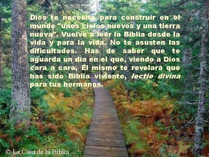 Dios te necesita para construir en el mundo "unos cielos nuevos y una tierra Dios te necesita para construir en el mundo "unos cielos nuevos y una tierra