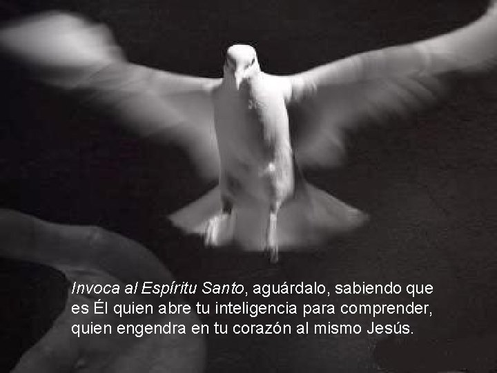 Invoca al Espíritu Santo, aguárdalo, sabiendo que es Él quien abre tu inteligencia para Invoca al Espíritu Santo, aguárdalo, sabiendo que es Él quien abre tu inteligencia para
