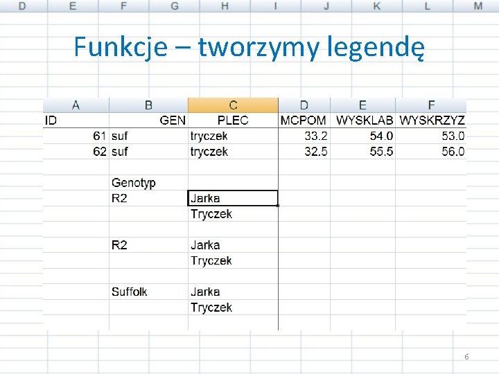 Funkcje – tworzymy legendę 6 