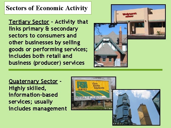 Sectors of Economic Activity Tertiary Sector - Activity that links primary & secondary sectors