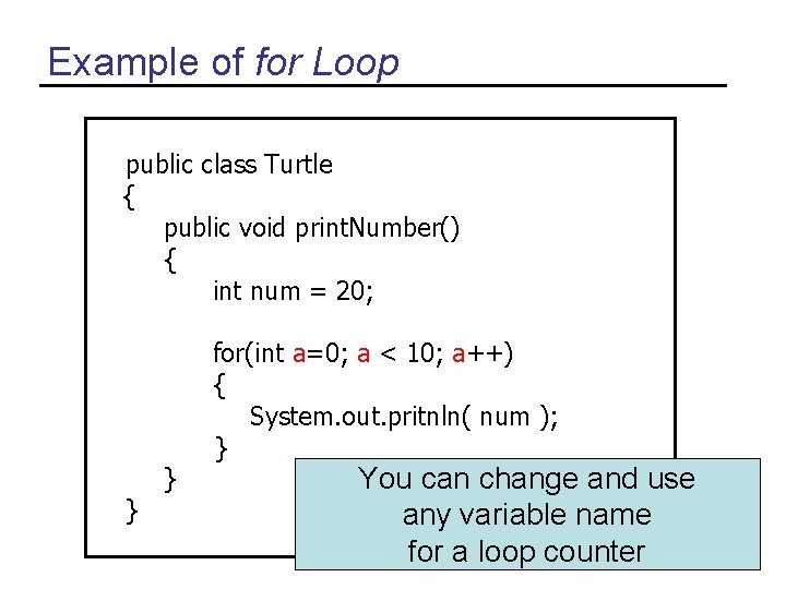 Example of for Loop public class Turtle { public void print. Number() { int