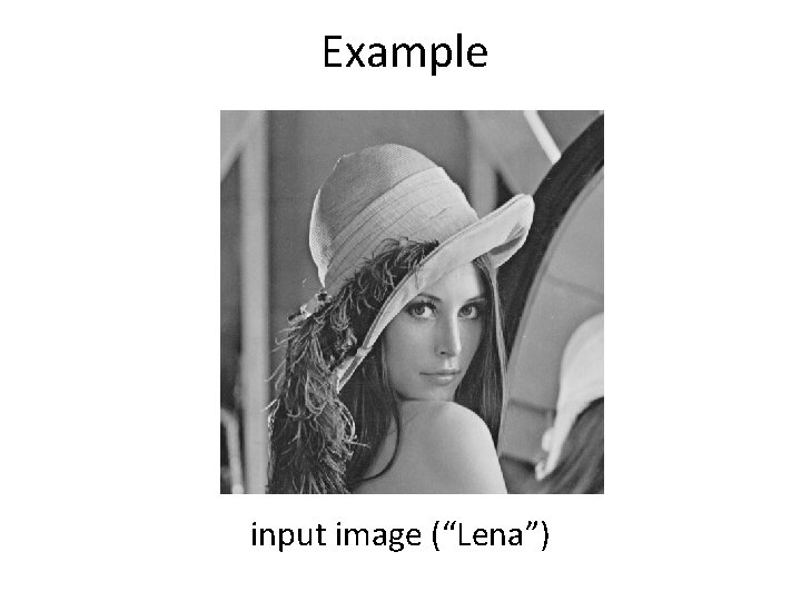 Example input image (“Lena”) 