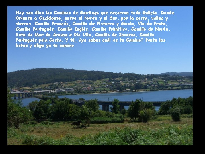 Hoy son diez los Caminos de Santiago que recorren toda Galicia. Desde Oriente a