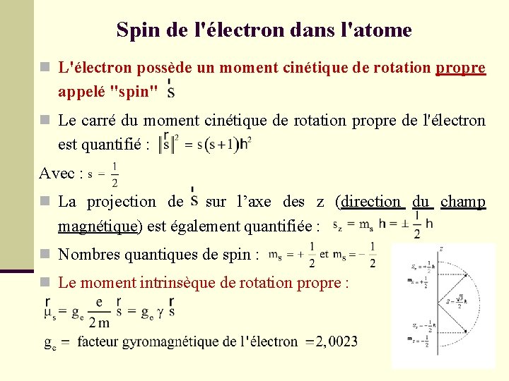 Spin de l'électron dans l'atome n L'électron possède un moment cinétique de rotation propre