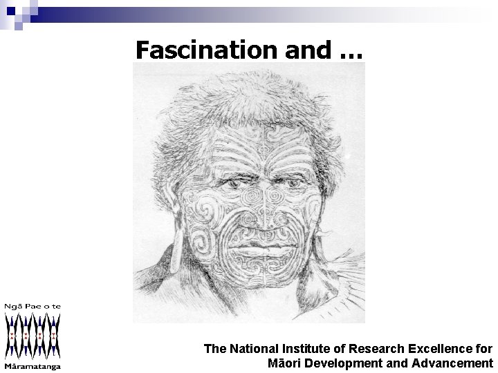 Fascination and … The National Institute of Research Excellence for Māori Development and Advancement