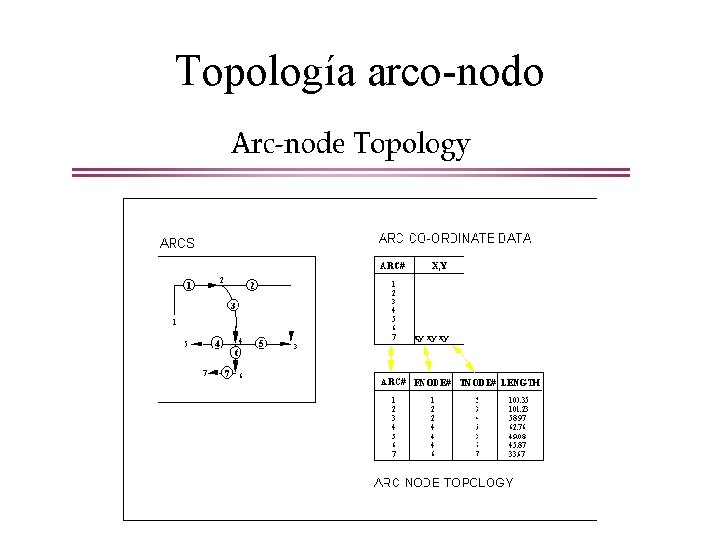 Topología arco-nodo 