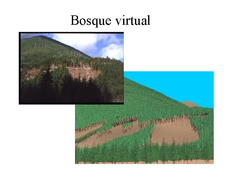 Bosque virtual 