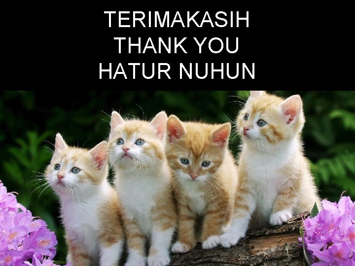 TERIMAKASIH THANK YOU HATUR NUHUN 