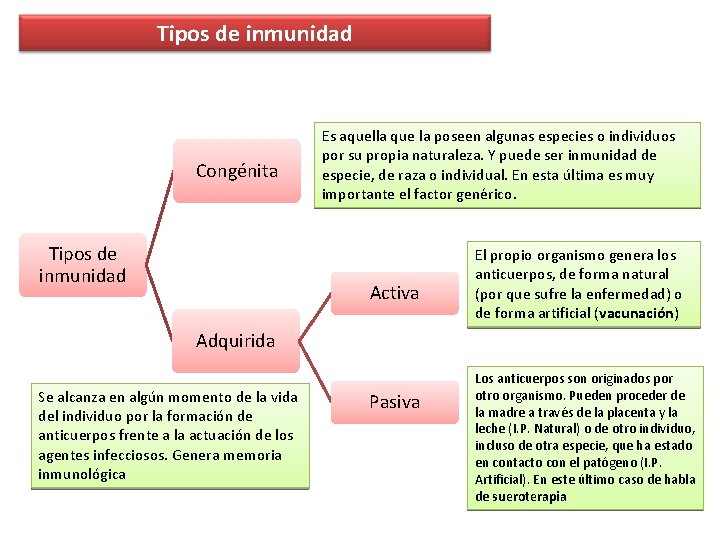 Tipos de inmunidad Congénita Tipos de inmunidad Es aquella que la poseen algunas especies Tipos de inmunidad Congénita Tipos de inmunidad Es aquella que la poseen algunas especies