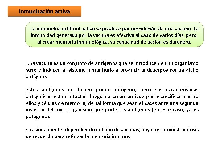 Inmunización activa La inmunidad artificial activa se produce por inoculación de una vacuna. La Inmunización activa La inmunidad artificial activa se produce por inoculación de una vacuna. La