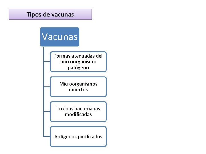 Tipos de vacunas Vacunas Formas atenuadas del microorganismo patógeno Microorganismos muertos Toxinas bacterianas modificadas Tipos de vacunas Vacunas Formas atenuadas del microorganismo patógeno Microorganismos muertos Toxinas bacterianas modificadas