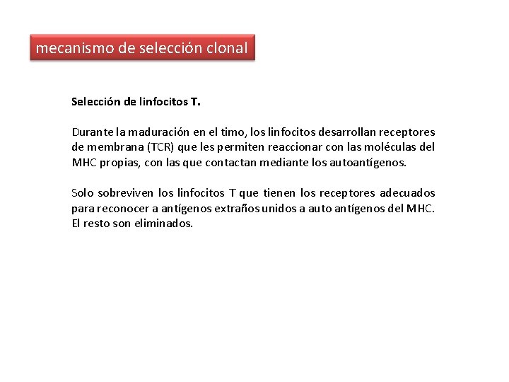 mecanismo de selección clonal Selección de linfocitos T. Durante la maduración en el timo, mecanismo de selección clonal Selección de linfocitos T. Durante la maduración en el timo,
