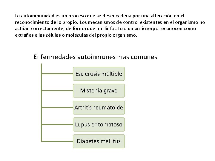La autoinmunidad es un proceso que se desencadena por una alteración en el reconocimiento La autoinmunidad es un proceso que se desencadena por una alteración en el reconocimiento