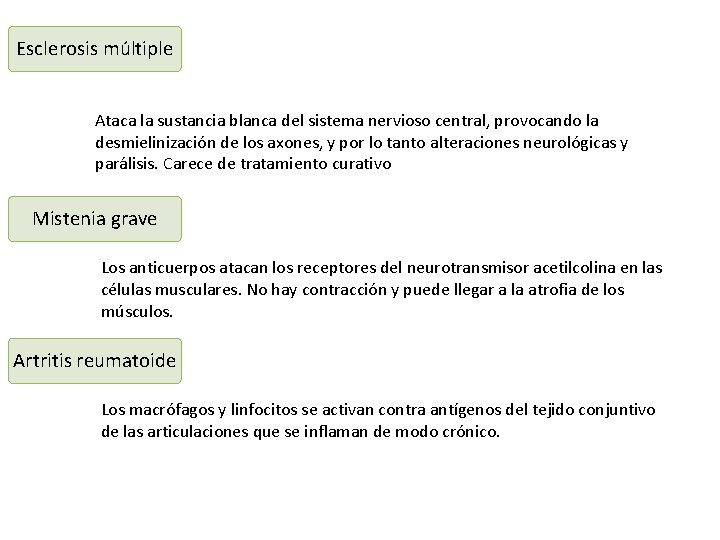 Esclerosis múltiple Ataca la sustancia blanca del sistema nervioso central, provocando la desmielinización de Esclerosis múltiple Ataca la sustancia blanca del sistema nervioso central, provocando la desmielinización de