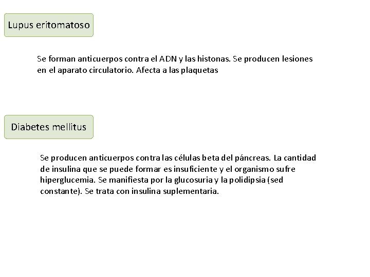 Lupus eritomatoso Se forman anticuerpos contra el ADN y las histonas. Se producen lesiones Lupus eritomatoso Se forman anticuerpos contra el ADN y las histonas. Se producen lesiones