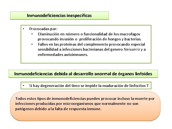 Inmunodeficiencias inespecíficas • Provocadas por: • Disminución en número o funcionalidad de los macrofagos Inmunodeficiencias inespecíficas • Provocadas por: • Disminución en número o funcionalidad de los macrofagos