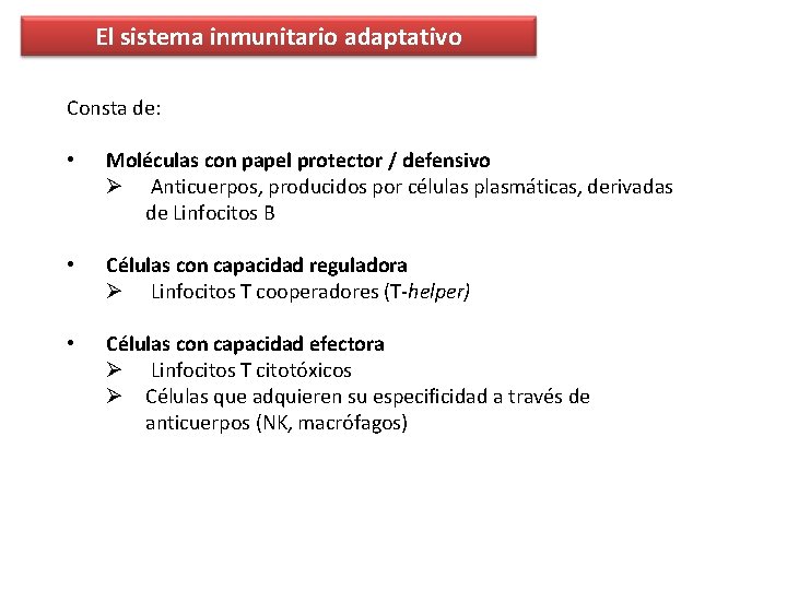 El sistema inmunitario adaptativo Consta de: • Moléculas con papel protector / defensivo Ø El sistema inmunitario adaptativo Consta de: • Moléculas con papel protector / defensivo Ø