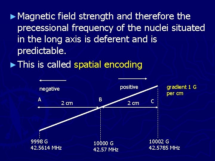 ► Magnetic field strength and therefore the precessional frequency of the nuclei situated in