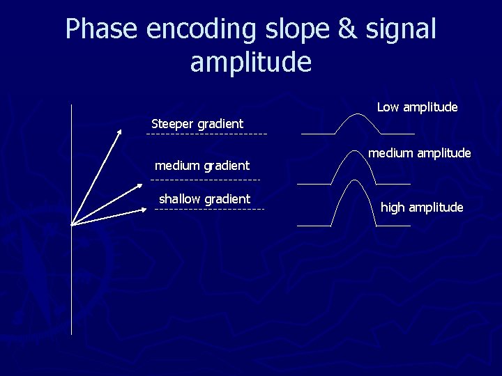 Phase encoding slope & signal amplitude Low amplitude Steeper gradient medium gradient shallow gradient