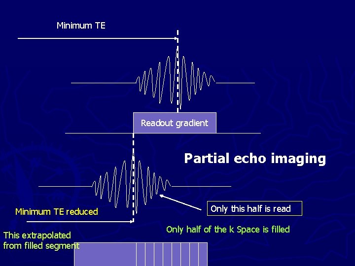 Minimum TE Readout gradient Partial echo imaging Minimum TE reduced This extrapolated from filled