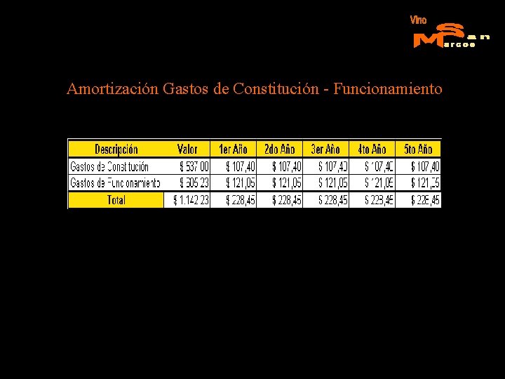 Amortización Gastos de Constitución - Funcionamiento 