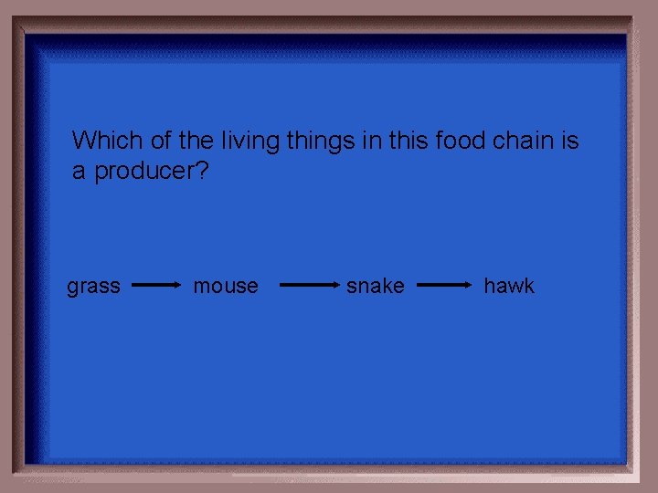 Which of the living things in this food chain is a producer? grass mouse Which of the living things in this food chain is a producer? grass mouse