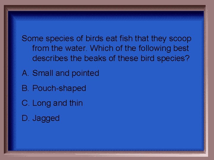 Some species of birds eat fish that they scoop from the water. Which of