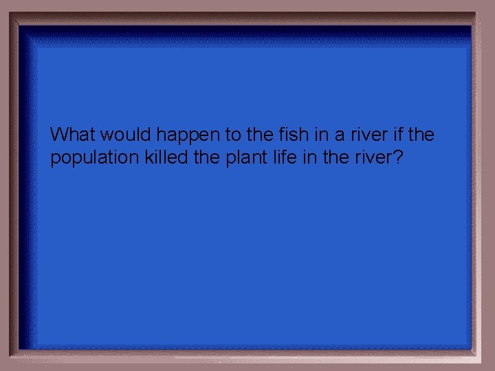 What would happen to the fish in a river if the population killed the