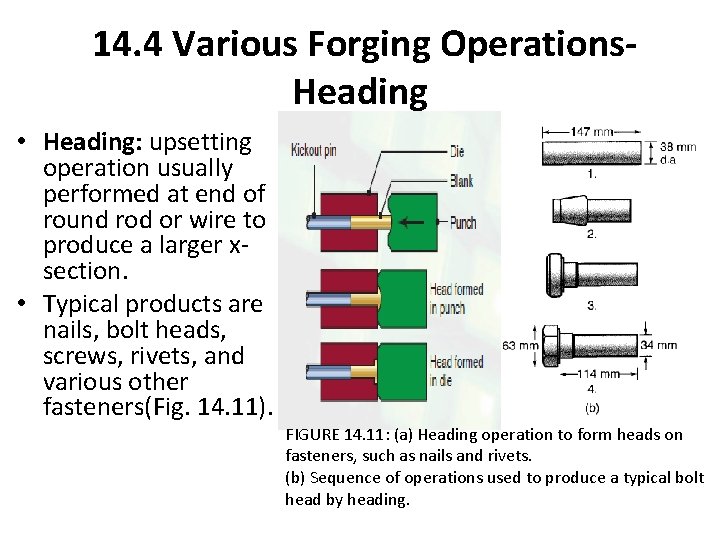 14. 4 Various Forging Operations. Heading • Heading: upsetting operation usually performed at end