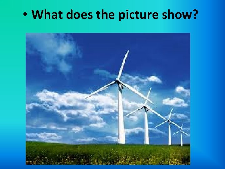  • What does the picture show? 