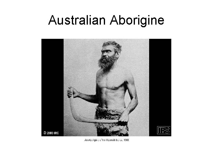 Australian Aborigine 