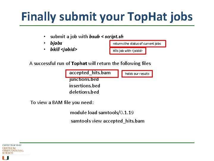 Finally submit your Top. Hat jobs • submit a job with bsub < script.